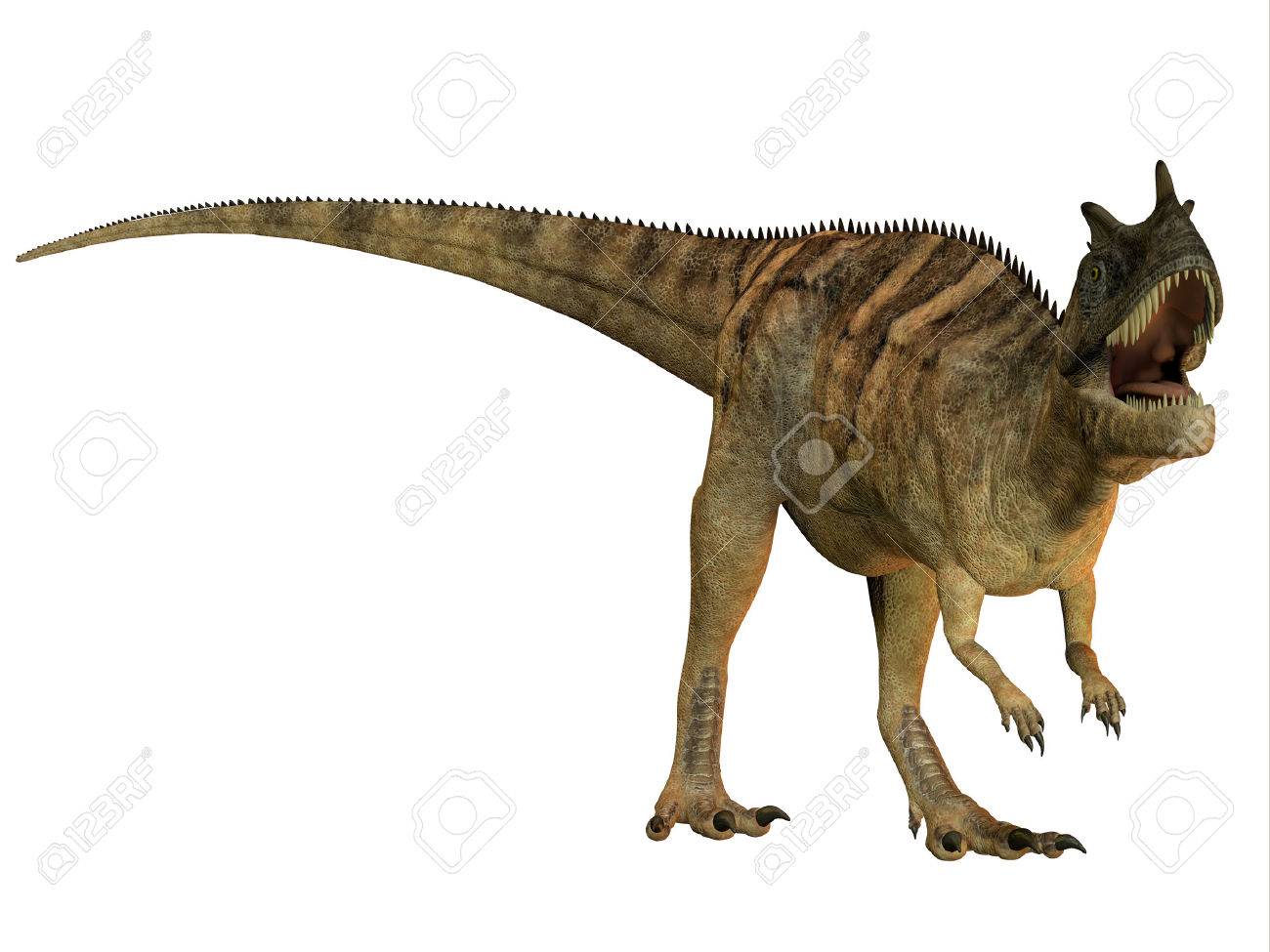 Ceratosaurus En El Blanco - El Ceratosaurus Es Un Dinosaurio Terópodo Cuernos Se Encuentran En América Del Norte A Partir Del Período Jurásico Fotos, Retratos, Imágenes Y Fotografía De Archivo Libres De Ceratosaurus En El Blanco - El Ceratosaurus Es Un Dinosaurio Terópodo Cuernos Se Encuentran En América Del Norte A Partir Del Período Jurásico Fotos, Retratos, Imágenes Y Fotografía De Archivo Libres De