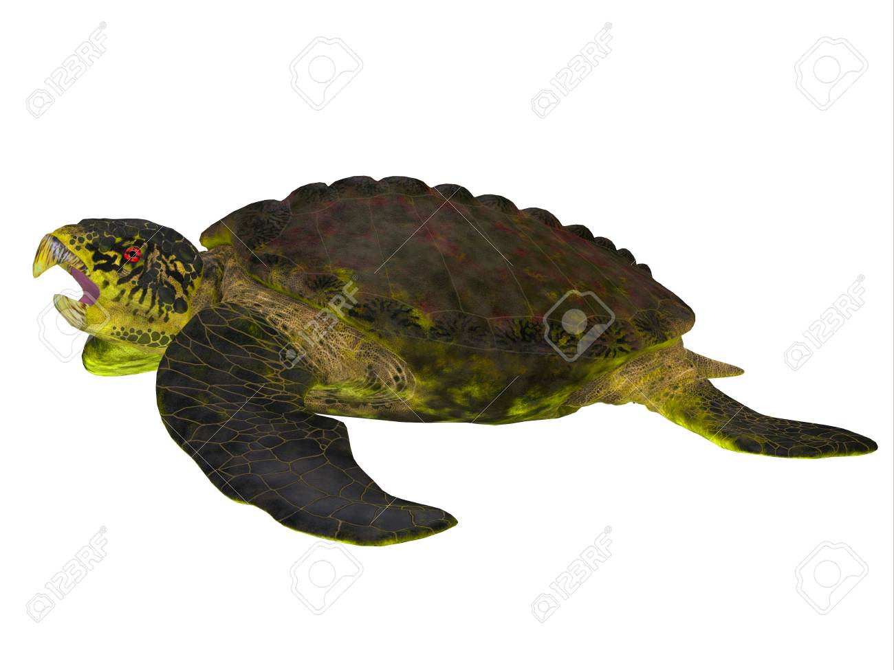Archelon Turtle Side View Archelon Was A Giant Marine Turtle That Lived In South Dakota Usa In The Cretaceous Period Stock Photo Picture And Royalty Free Image Image