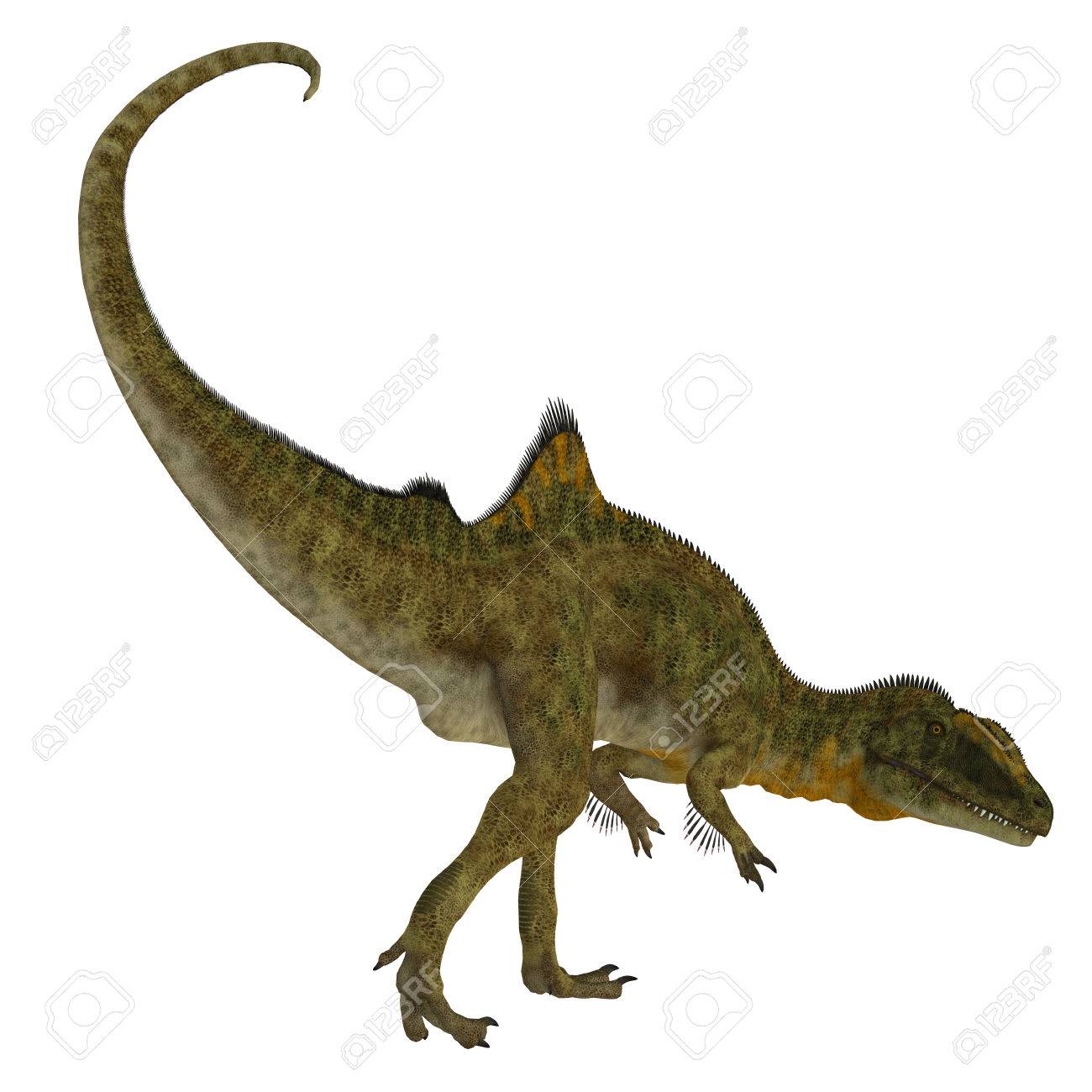 Concavenator 恐竜の尾 Concavenator は白亜紀にスペインに住んでいた肉食の獣脚類恐竜です の写真素材 画像素材 Image