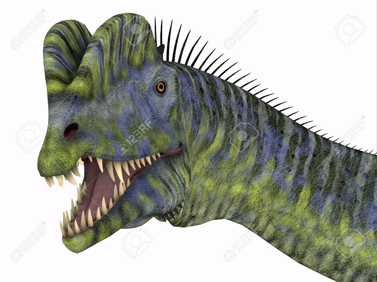 dilophosaurus dinosaur head dilophosaurus