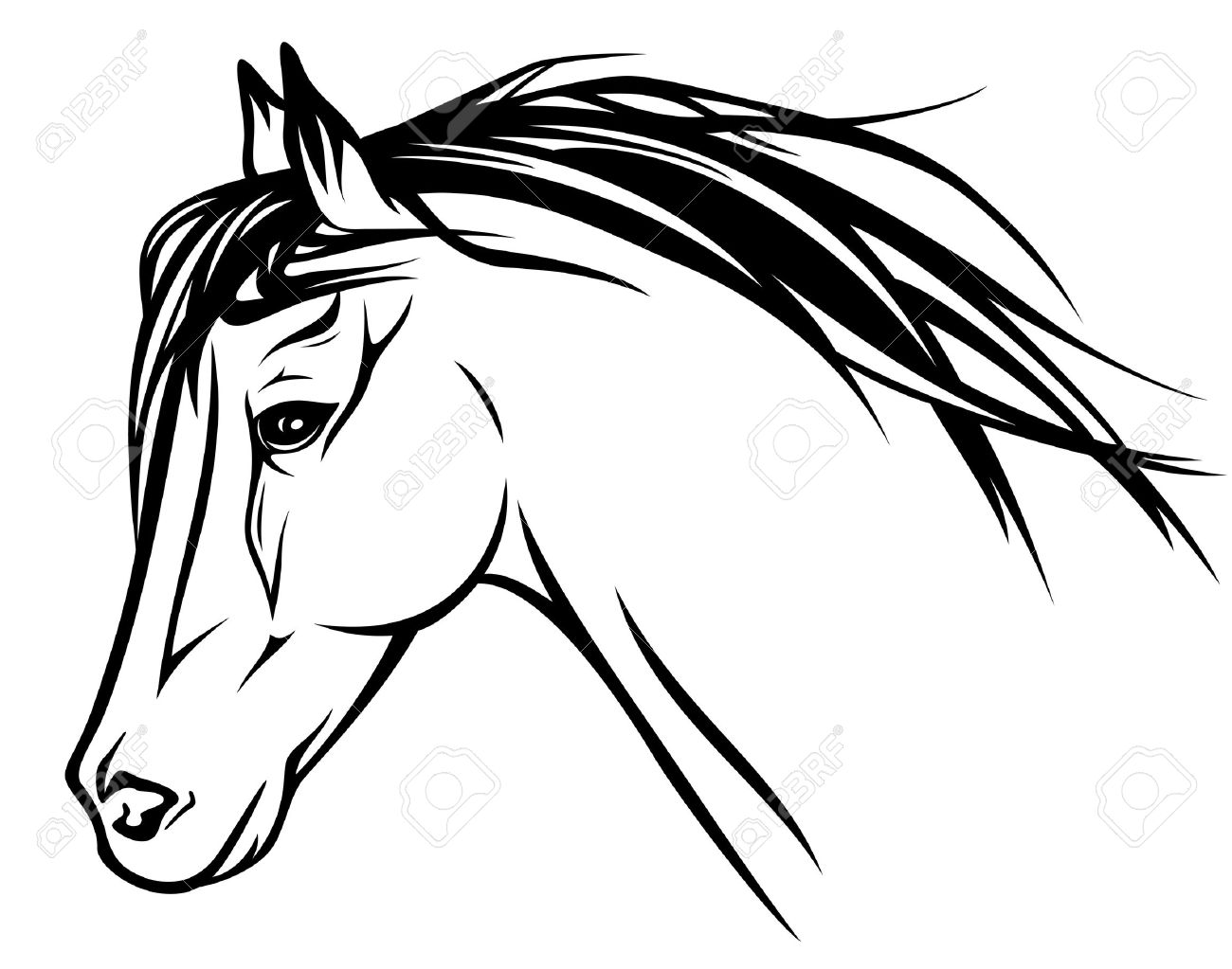 Tête De Cheval Dessin Noir Et Blanc Courir Tête De Cheval Noir Et Contour Blanc Clip Art Libres De Droits, Svg, Vecteurs Et Illustration. Image 16570005