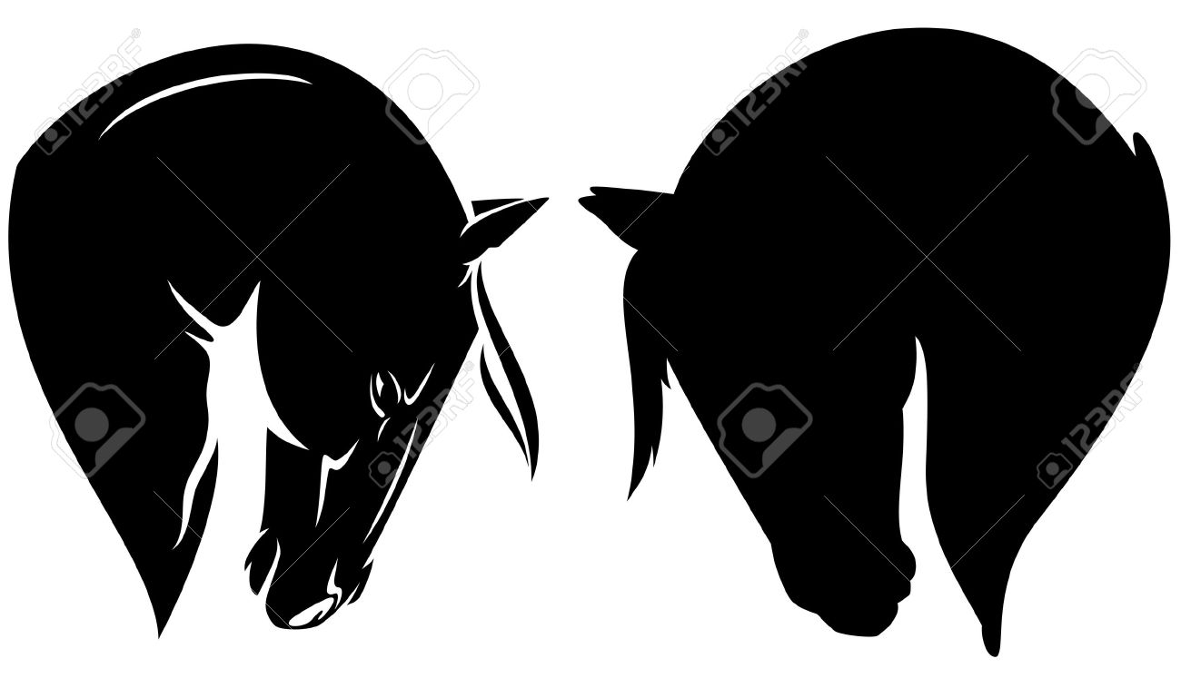Tete Cheval Banque D Vecteurs Et Illustrations Libres De tete cheval beau profil de la tªte de cheval contour vectoriel noir et la