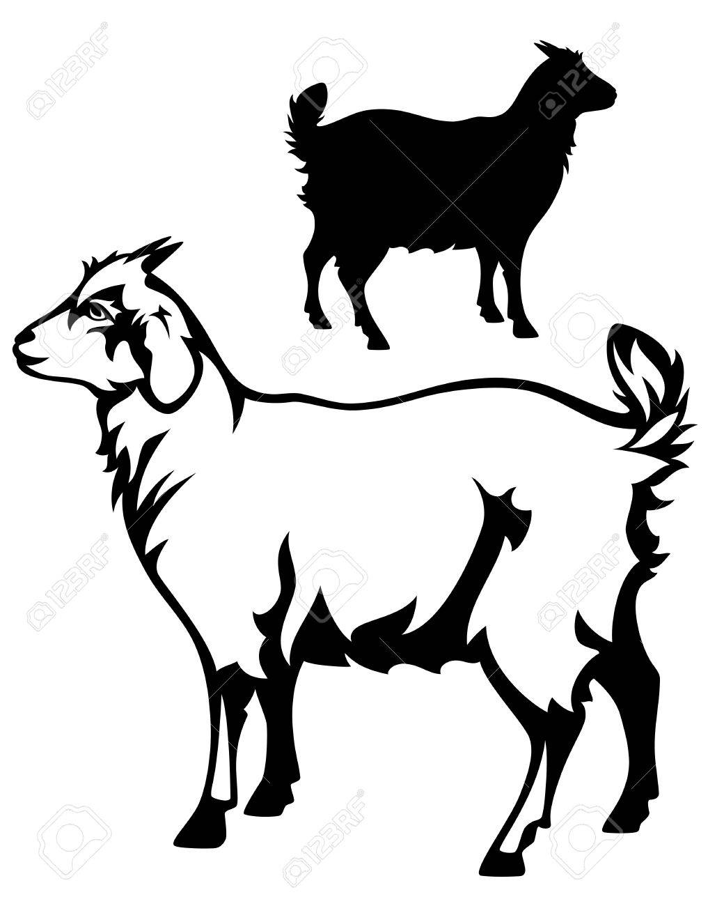 cute goat black and white outline and detailed silhouette royalty free cliparts vectors and stock illustration image 22882184 123rf com