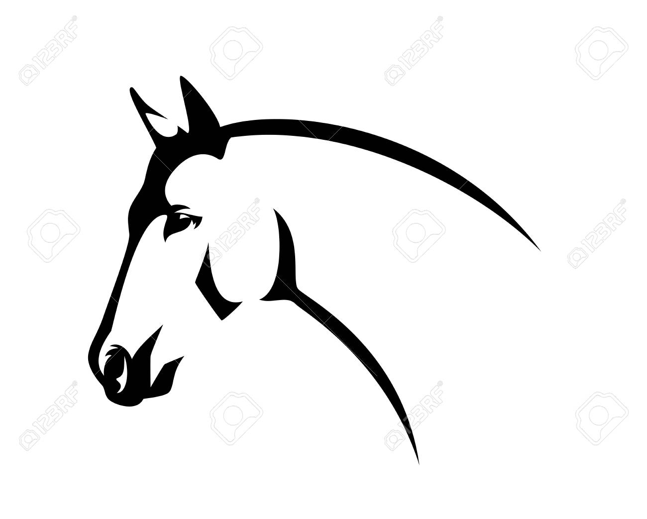 Horse Head Side View - Elegant Thoroughbred Stallion Black And White  Profile Portrait Royalty Free SVG, Cliparts, Vectors, And Stock  Illustration. Image 120996093.