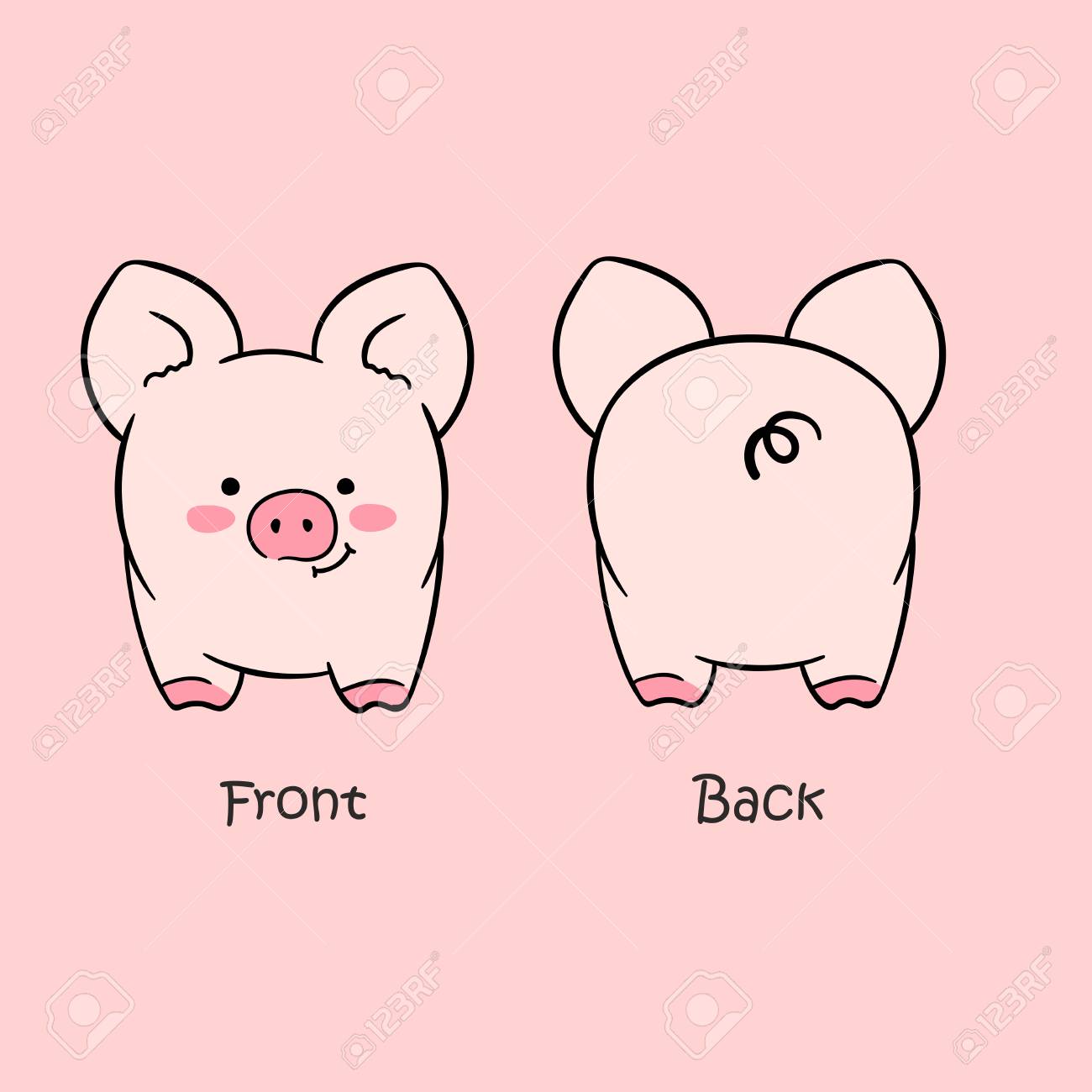 vector illustration of cartoon cute pink pig front view and back