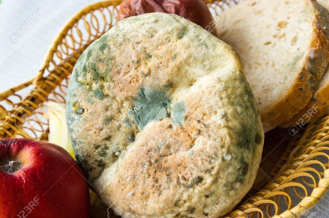 Lot Of Old Inedible Food Stock Photo Picture And Royalty Free Image Image