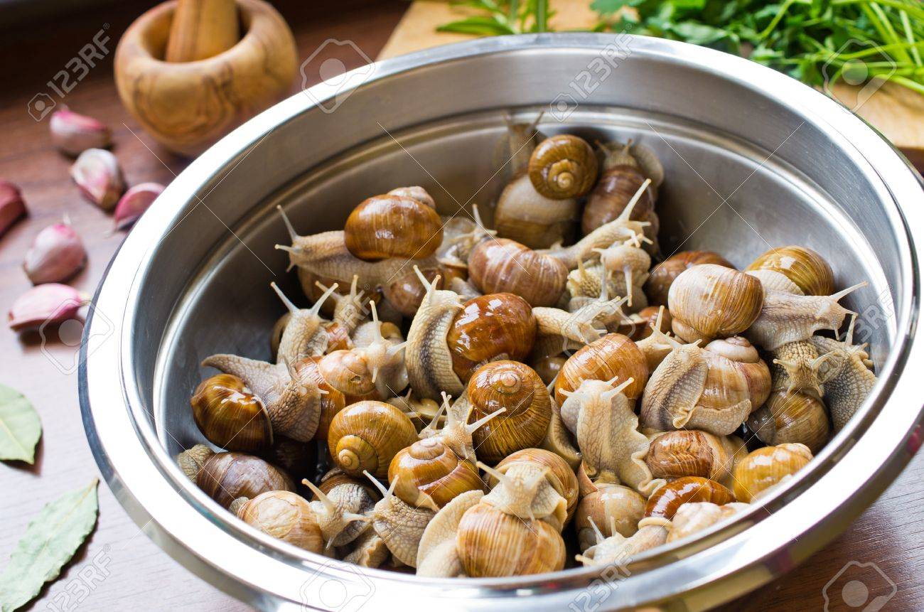 Resultado de imagen de caracoles crudos