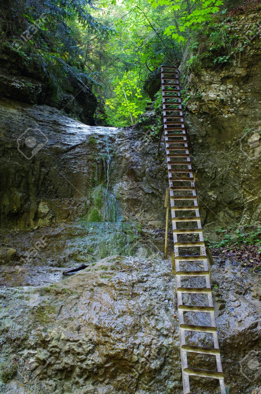 ながーいはしご