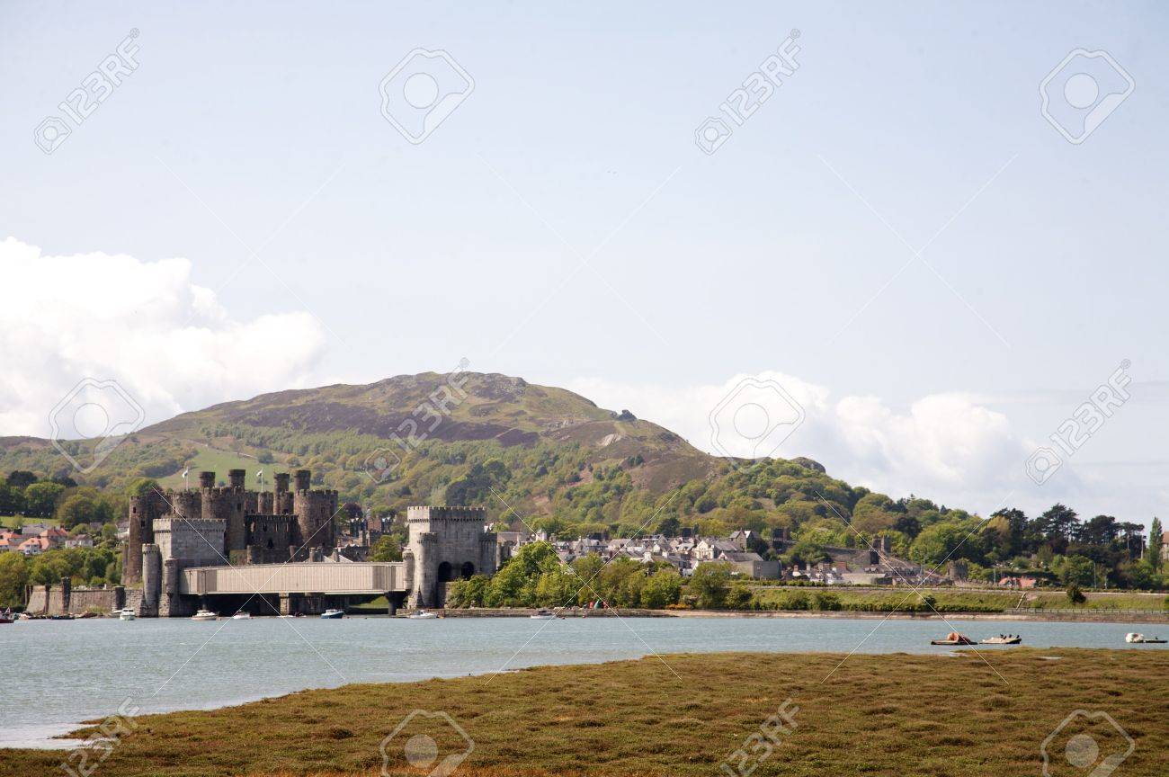 etiam-dictum-ipsum-a-felis