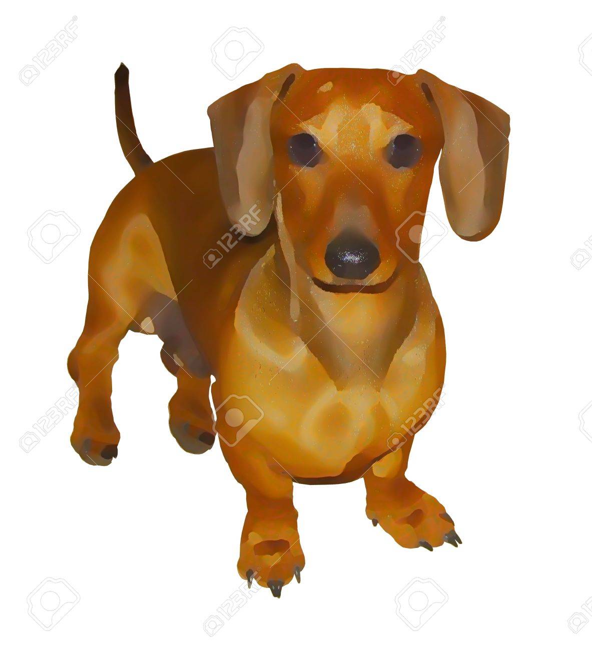 免震層予約絵画ミニチュア ダックスフンド子犬座っているの の写真素材 画像素材 Image