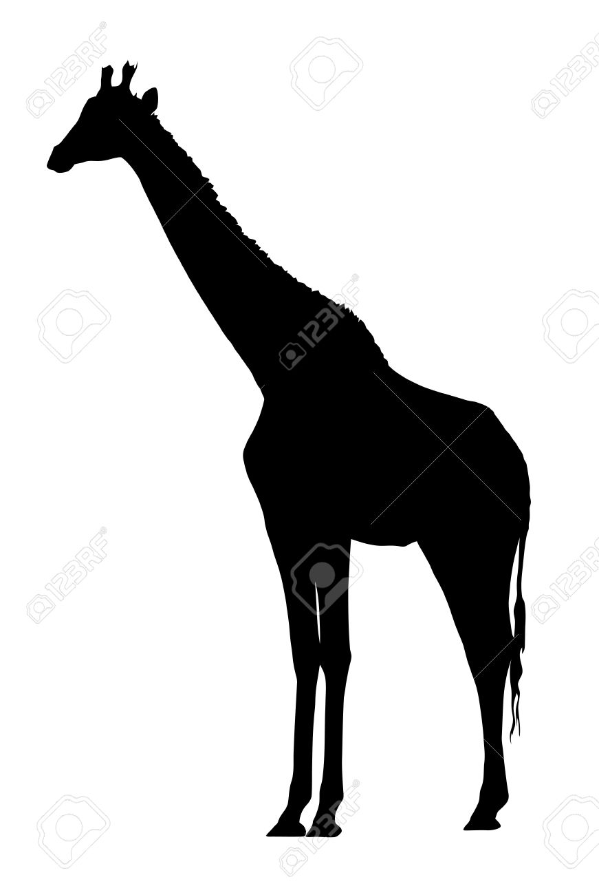 シルエットに立って大きなきりんの側プロファイル イメージのイラスト素材 ベクタ Image シルエットに立って大きなきりんの側プロファイル イメージのイラスト素材 ベクタ Image