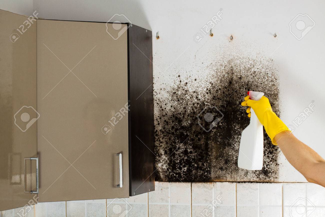 食器棚からカビを削除する フォア グラウンドで洗濯機を手します の写真素材 画像素材 Image