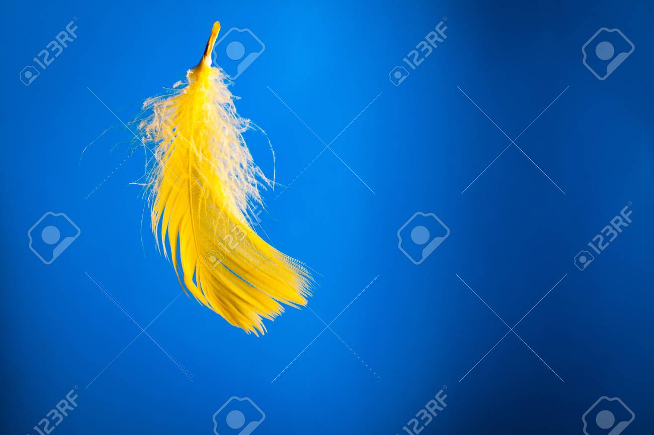 青の背景に黄色の羽 の写真素材 画像素材 Image