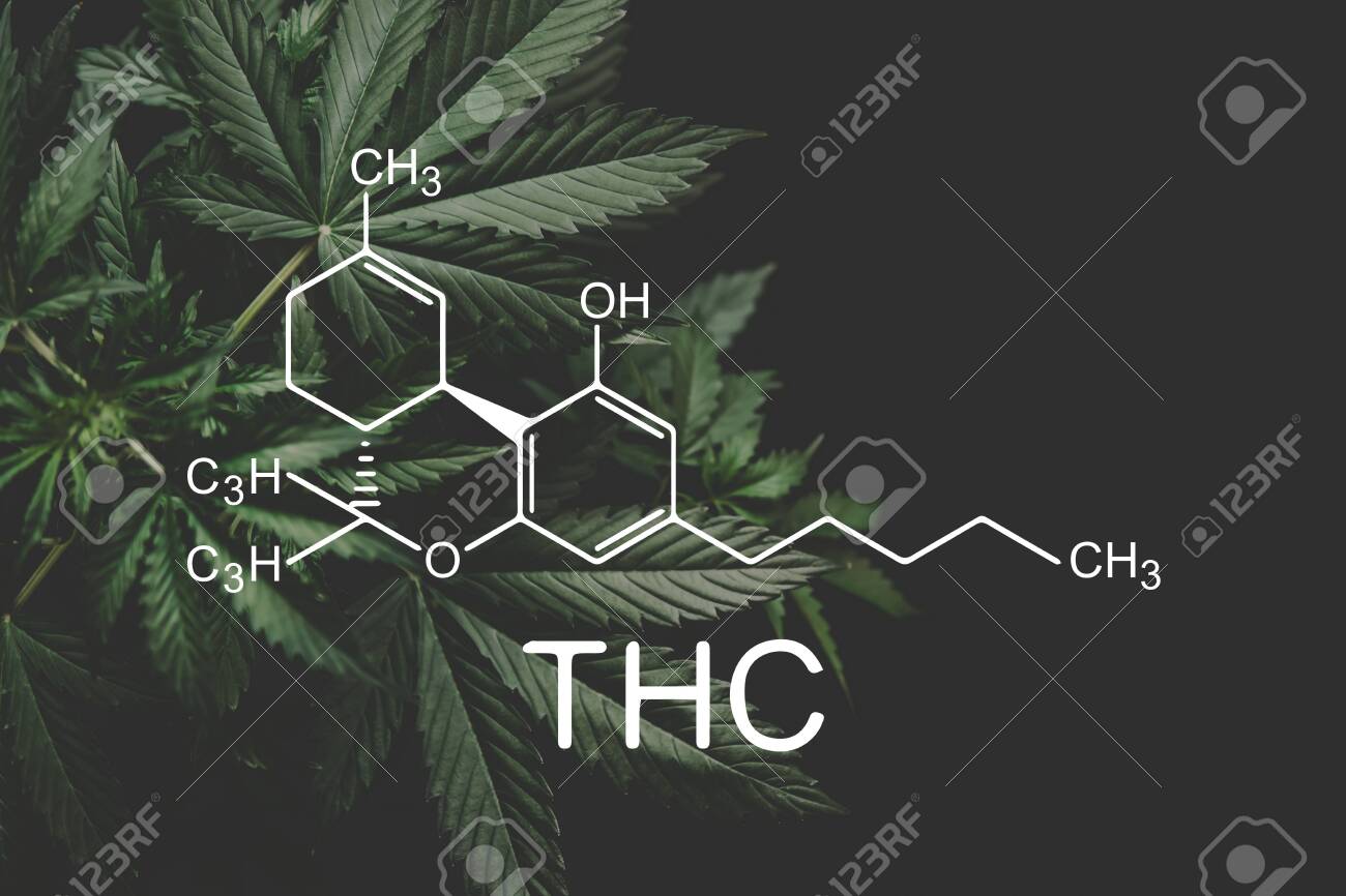 Thc Formula Tetrahydrocannabinol Growing Marijuana Despancery Stock Photo Picture And Royalty Free Image Image 121816816
