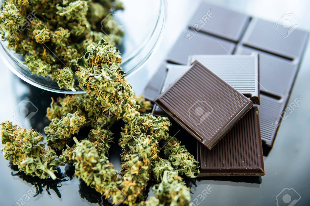 Concept of chocolate with cannabis herb CBD. Treatment of medical marijuana for use in food, black background. Chocolate with cannabis and buds of marijuana on the table. - 122401552 Concept of chocolate with cannabis herb CBD. Treatment of medical marijuana for use in food, black background. Chocolate with cannabis and buds of marijuana on the table. - 122401552