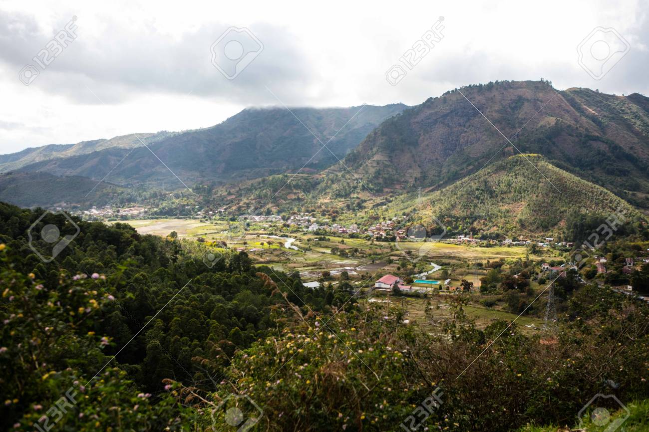 etiam-dictum-ipsum-a-felis