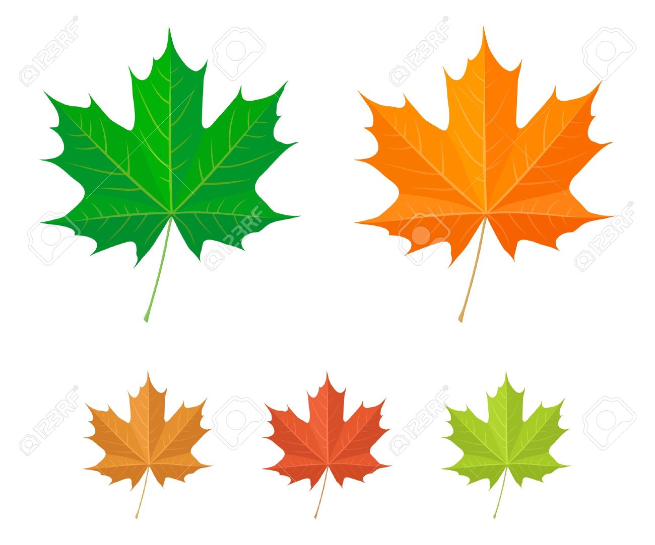 Maple Leaf Icons Royalty Free Cliparts Vectors And Stock Illustration Image