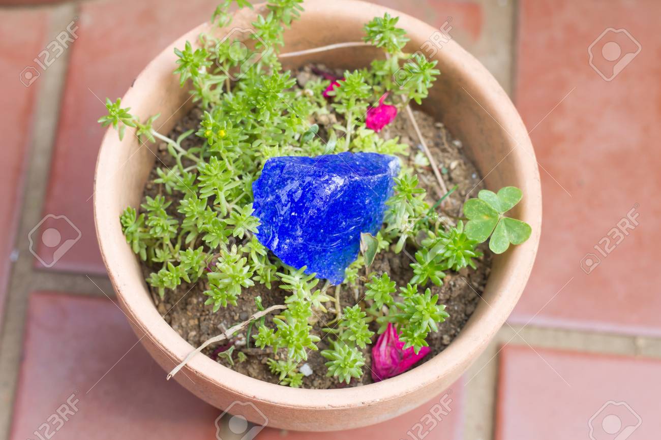 緑の植物に癒しの結晶石 の写真素材 画像素材 Image