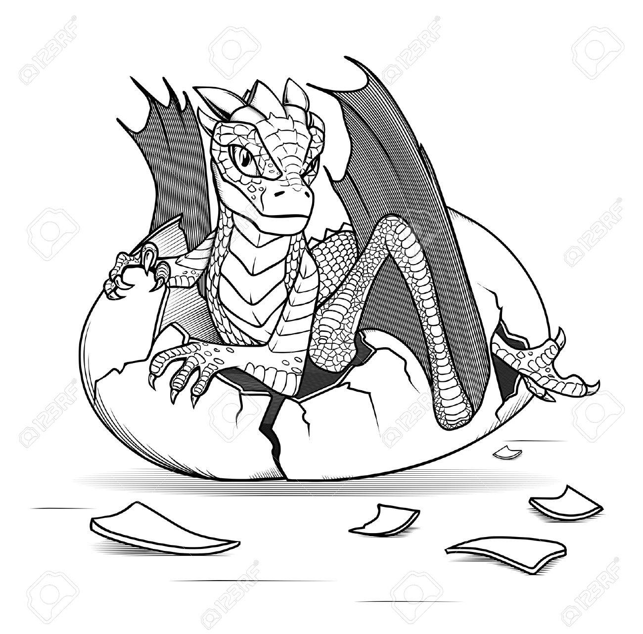 Bebe Dragon Eclos D Un Uf Clip Art Libres De Droits Vecteurs Et Illustration Image