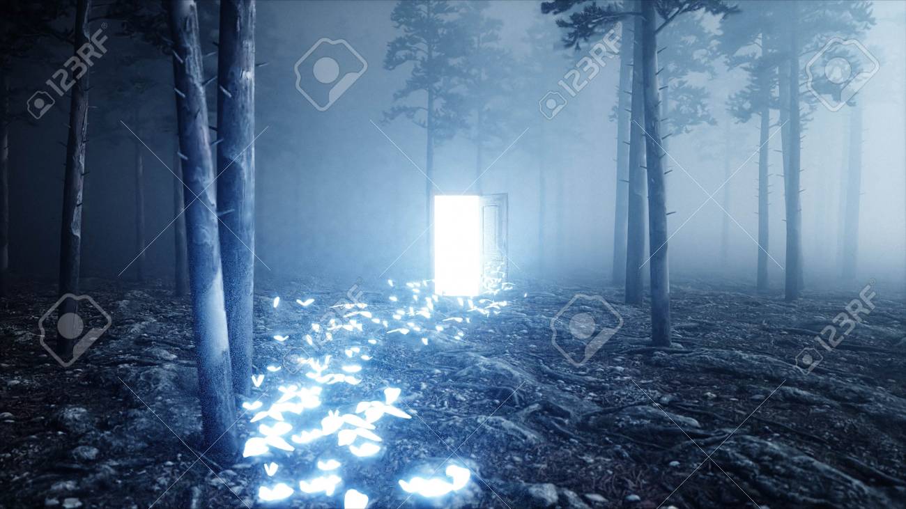 Glowing Butterflies In Fog Night Forest Light Portal Door Mistic Stock Photo Picture And Royalty Free Image Image Glowing Butterflies In Fog Night Forest Light Portal Door Mistic Stock Photo Picture And Royalty Free Image Image