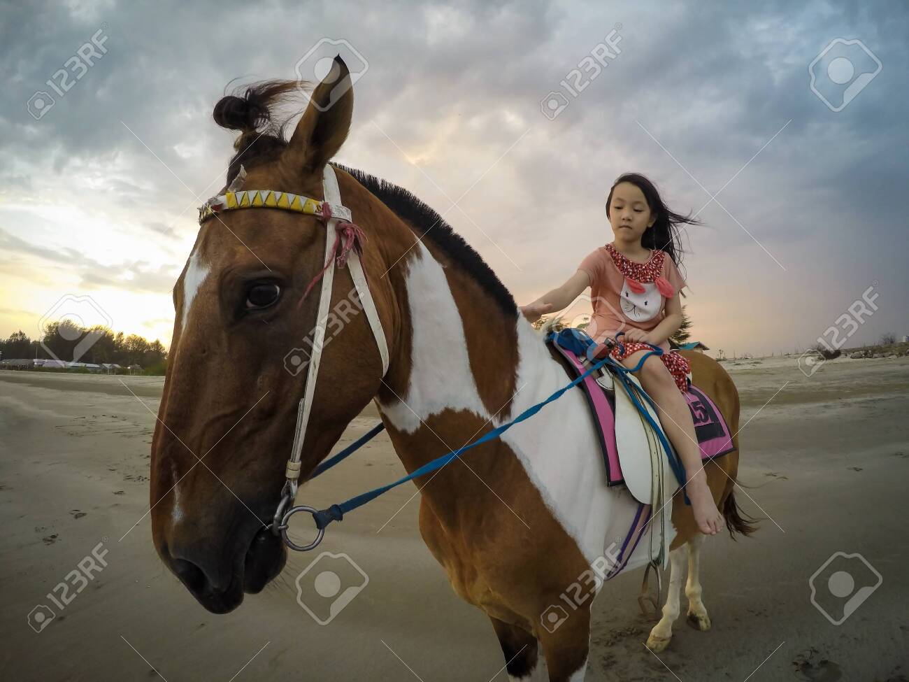 Download Asian Little Girl Riding A Horse On The Beach In The Evening Sunset Stock Photo Picture And Royalty Free Image Image 121175406