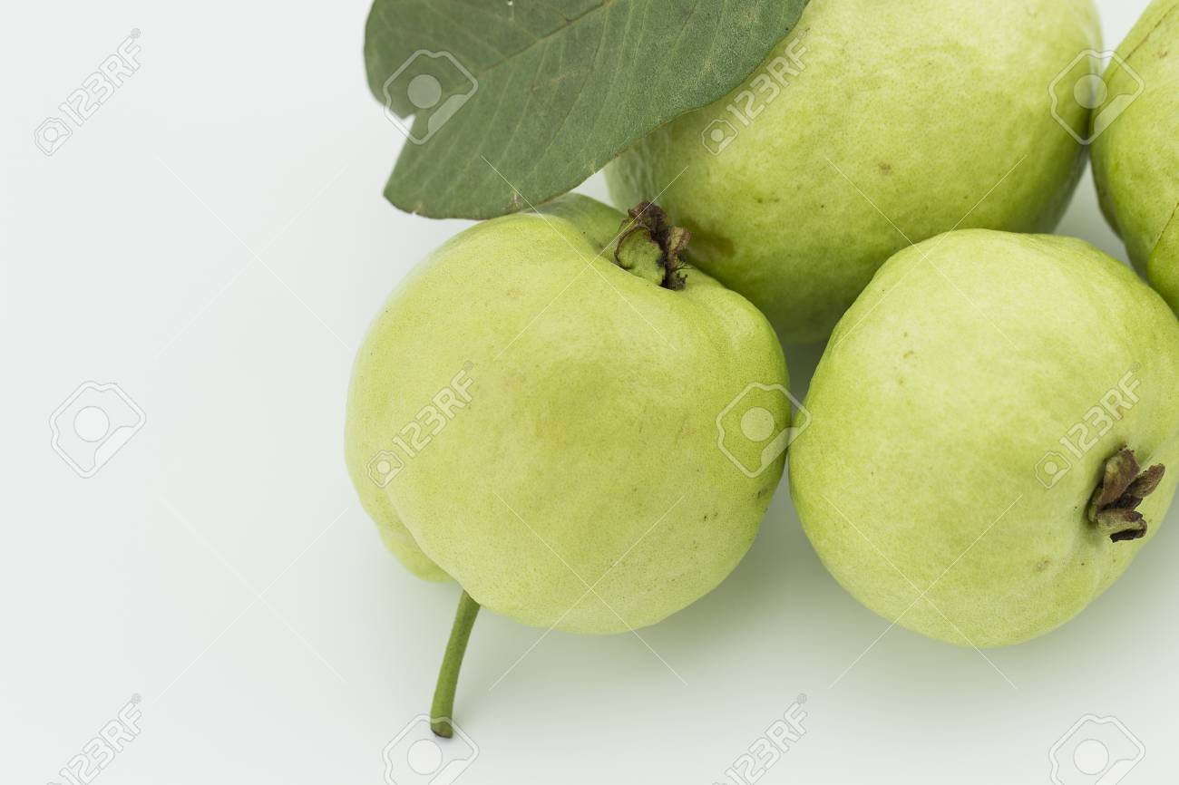 guava fruits can range in size from as small as an apricot to grapefruit size