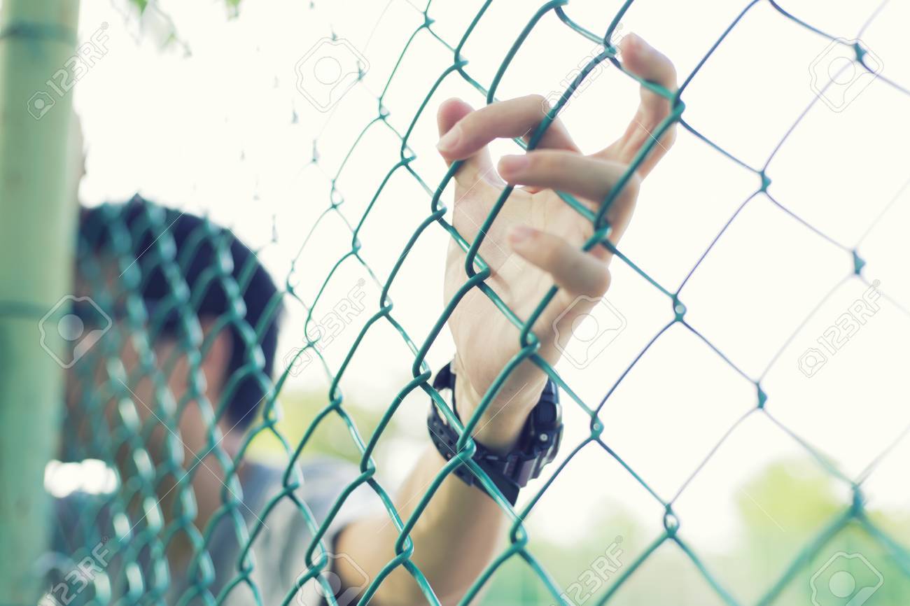 etiam-dictum-ipsum-a-felis