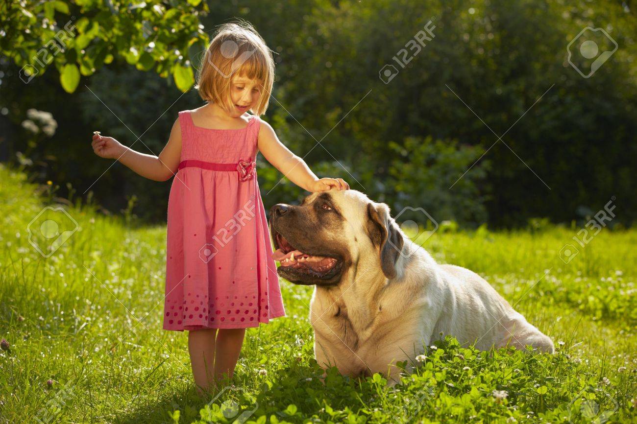 Kleines Madchen Mit Grossen Hund Im Garten Lizenzfreie Fotos Bilder Und Stock Fotografie Image 20718459