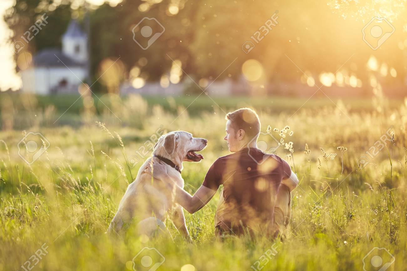 Rear view of young man with dog (labrador retriver) in nature at sunset. - 102190594 Rear view of young man with dog (labrador retriver) in nature at sunset. - 102190594