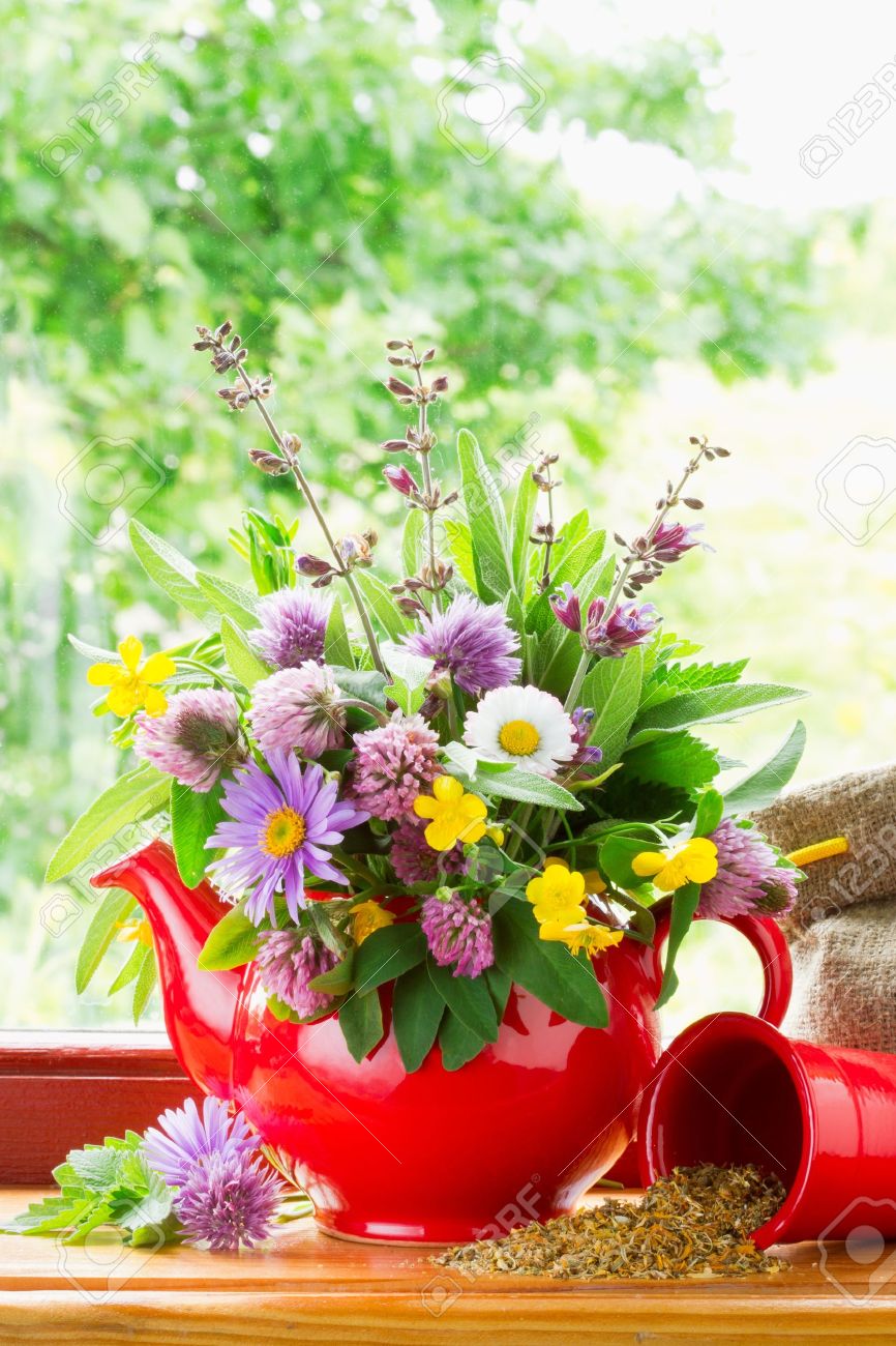 癒しのハーブと窓辺の花の花束と赤いティーポット の写真素材 画像素材 Image