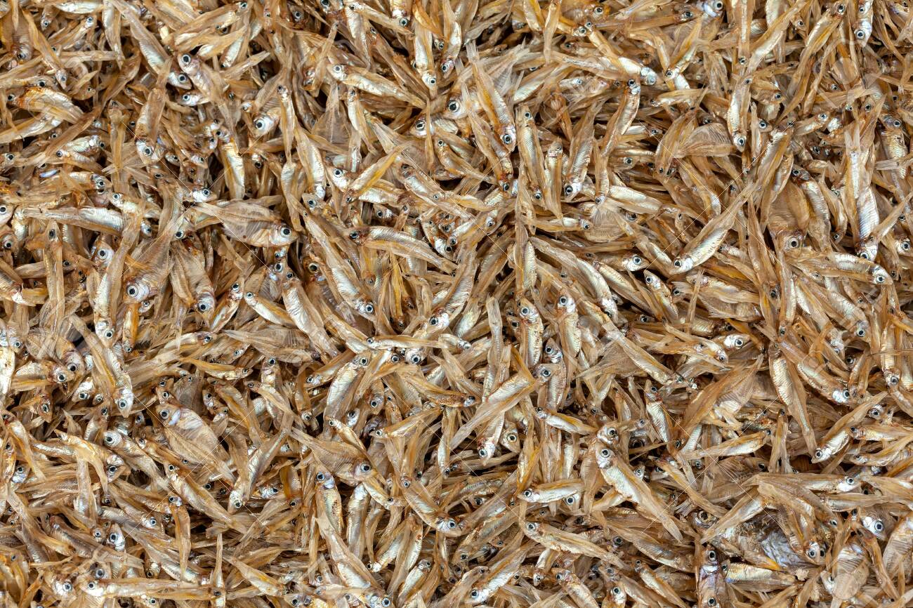dried minnows