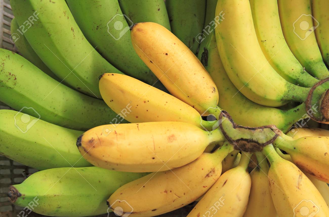 バナナは テーブルの背景上のグループで熟す の写真素材 画像素材 Image