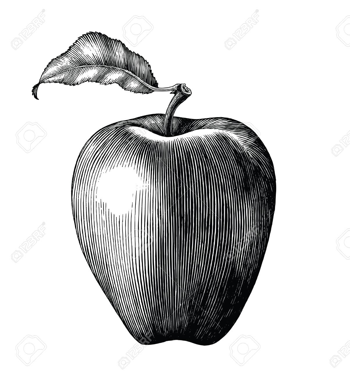 Download Apple Fruit Drawing Royalty-Free Vector Graphic - Pixabay