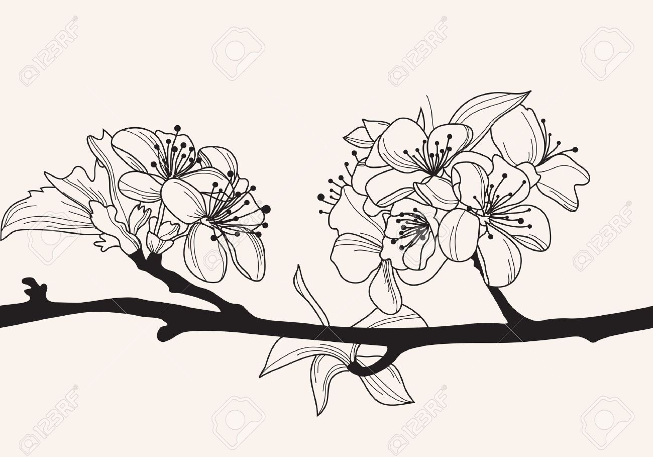 hand drawn decorative cherry