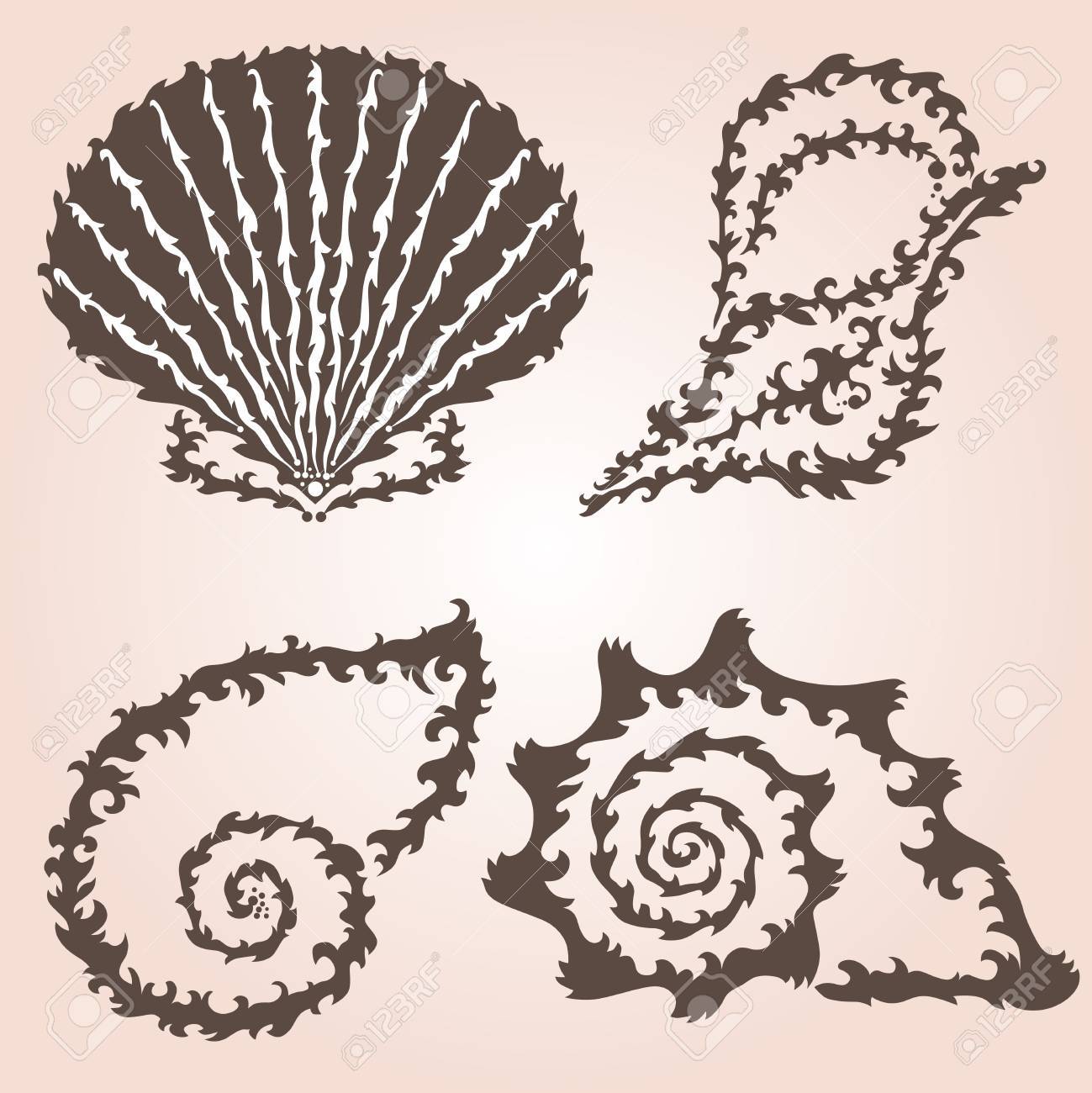 Seashells Design Sea Round Banner Colorful Vector