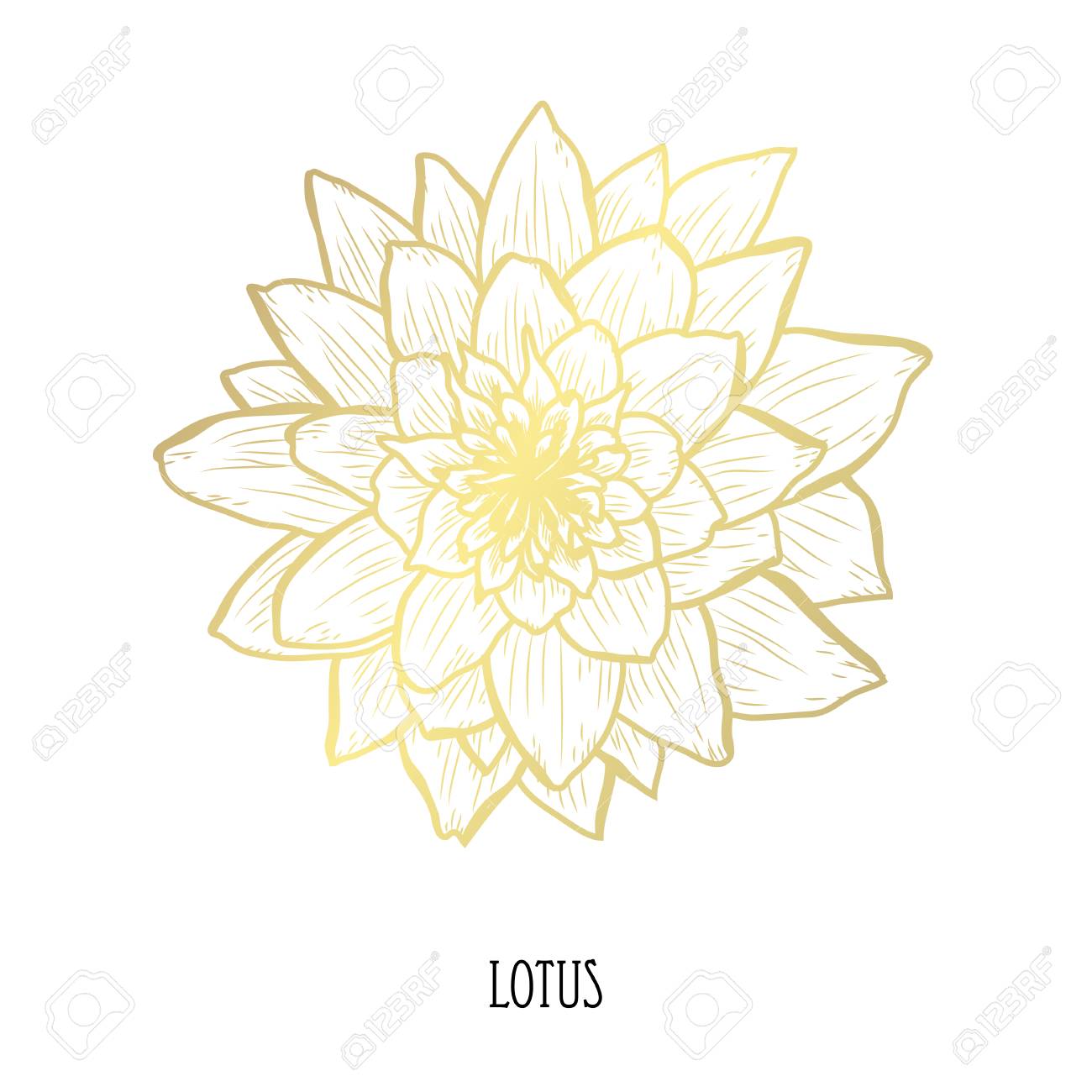 decorative lotus flower design element can be used for cards flower design for cards
