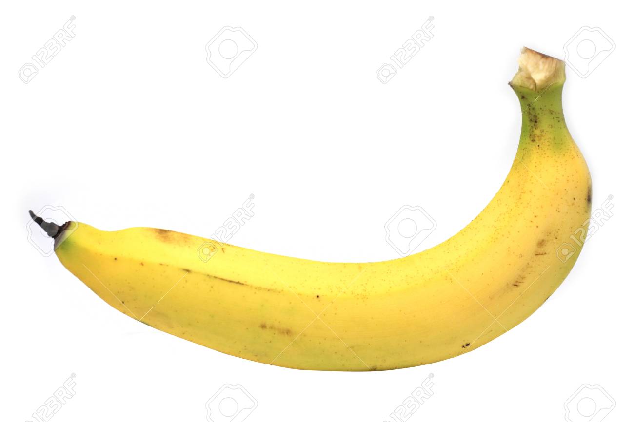 超巨大ジャイアントキャベンディッシュバナナ 140センチ苗 ①