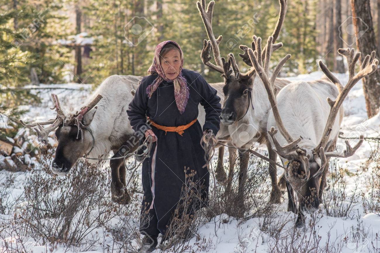 Darhad Mongolia | khuvsgul | hovsgol mongolia | reindeer herder Mongolia, image size:1300x867