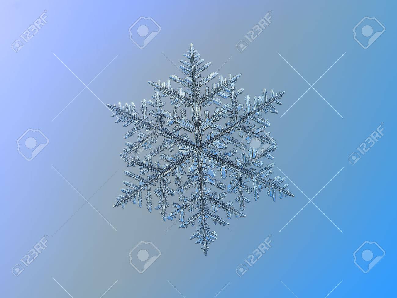 滑らかなグラデーション背景に雪の結晶 本物の雪の結晶のマクロ写真 これはシダのような樹状突起型の腕の複雑な構造を持つ非常に大きな雪の結晶です の写真素材 画像素材 Image