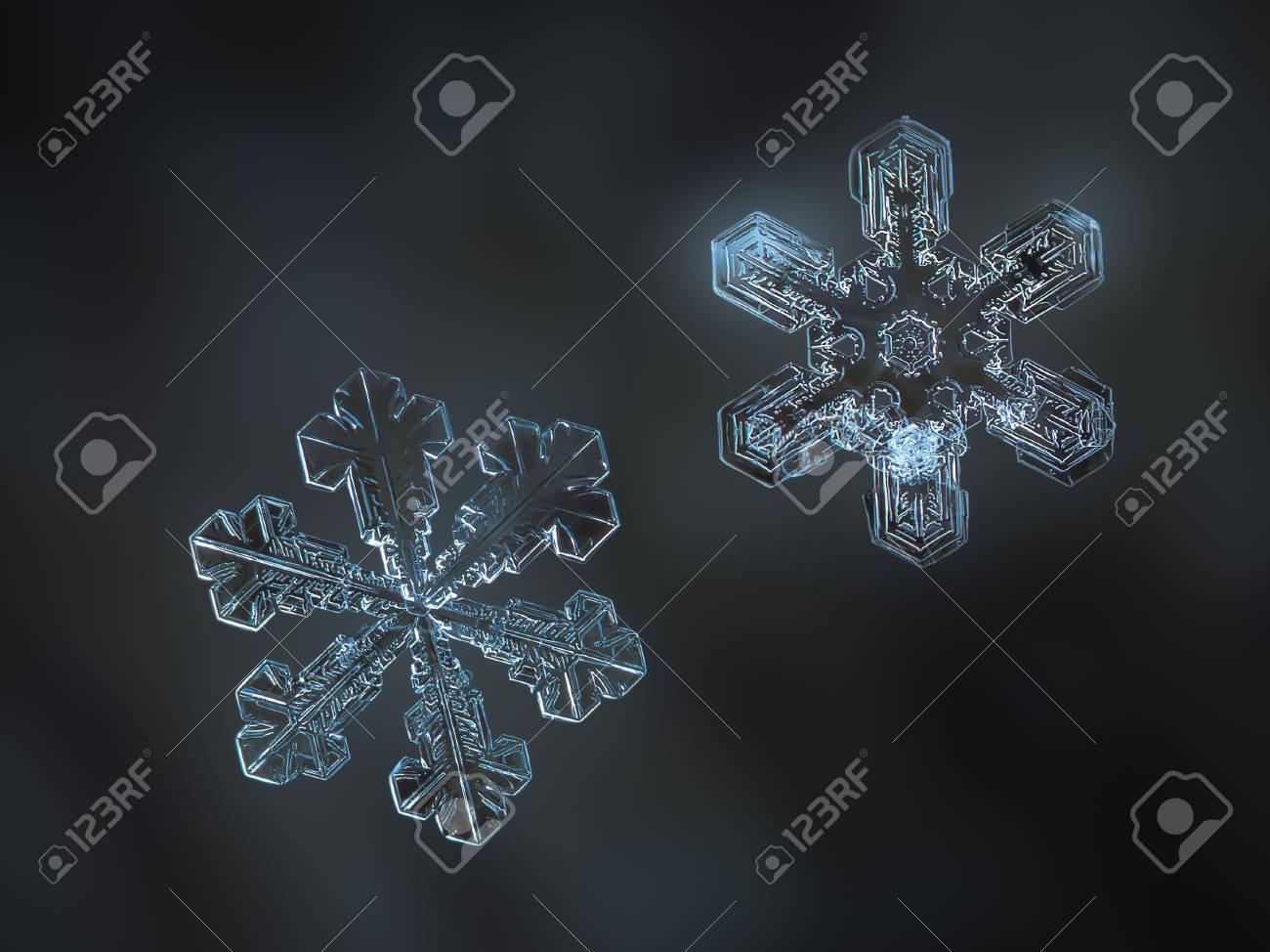 滑らかなぼかしの背景に輝く2つの雪片 本物の雪の結晶のマクロ写真 細かい六角形の対称性 光沢のあるレリーフ表面 短い広い腕と美しい内側のパターンを持つ小さな星板 の写真素材 画像素材 Image
