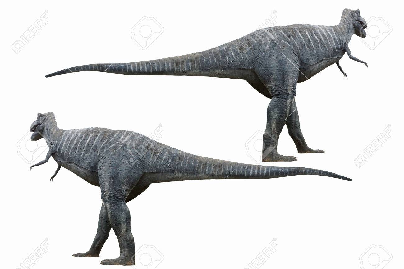 tyrannosaurus a large carnivorous