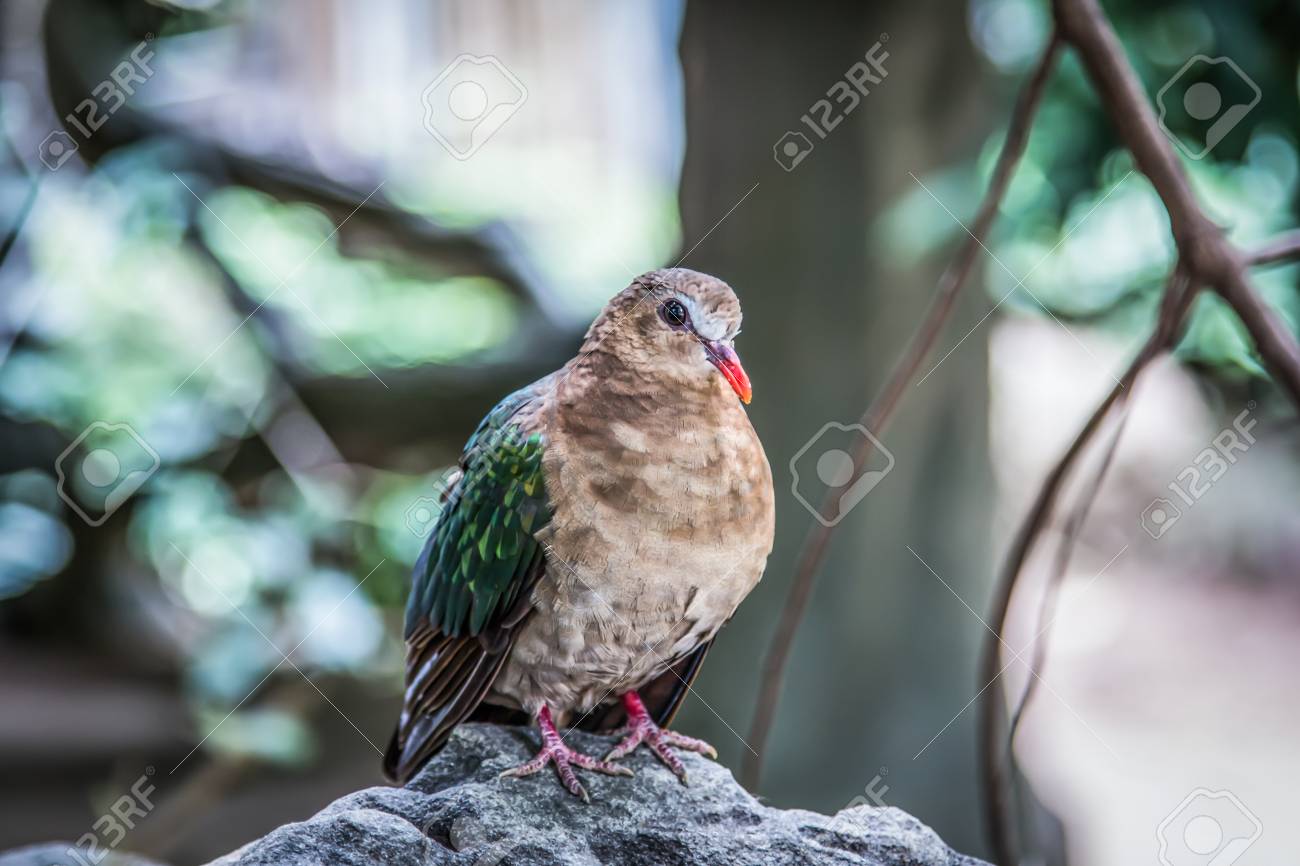 etiam-dictum-ipsum-a-felis