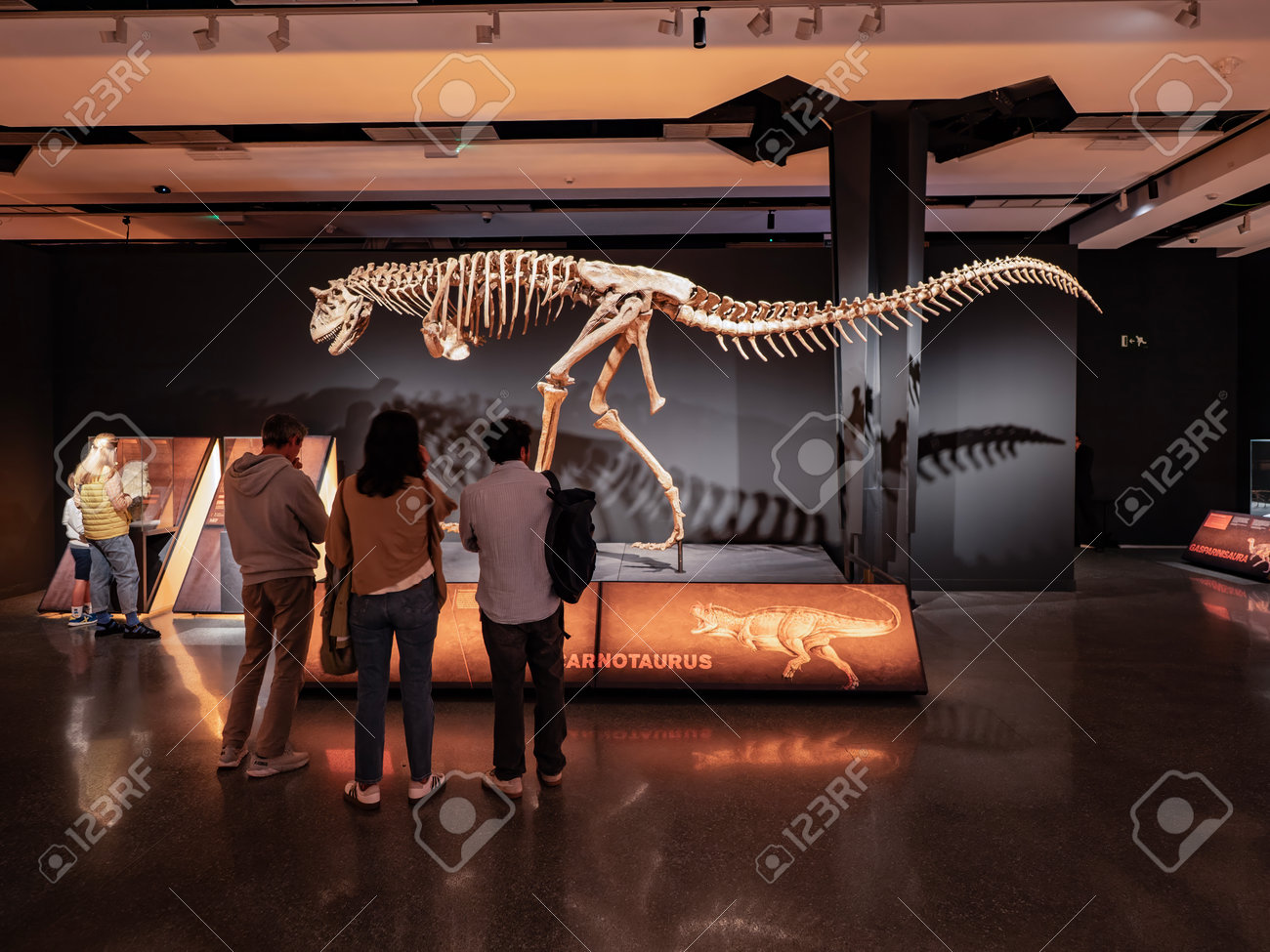 etiam-dictum-ipsum-a-felis