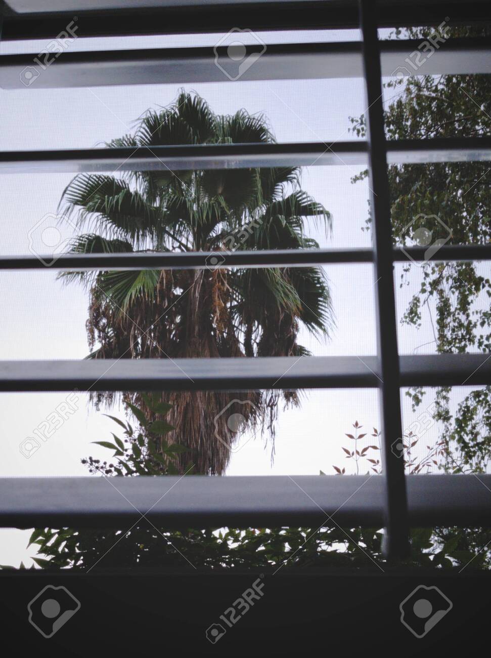 etiam-dictum-ipsum-a-felis