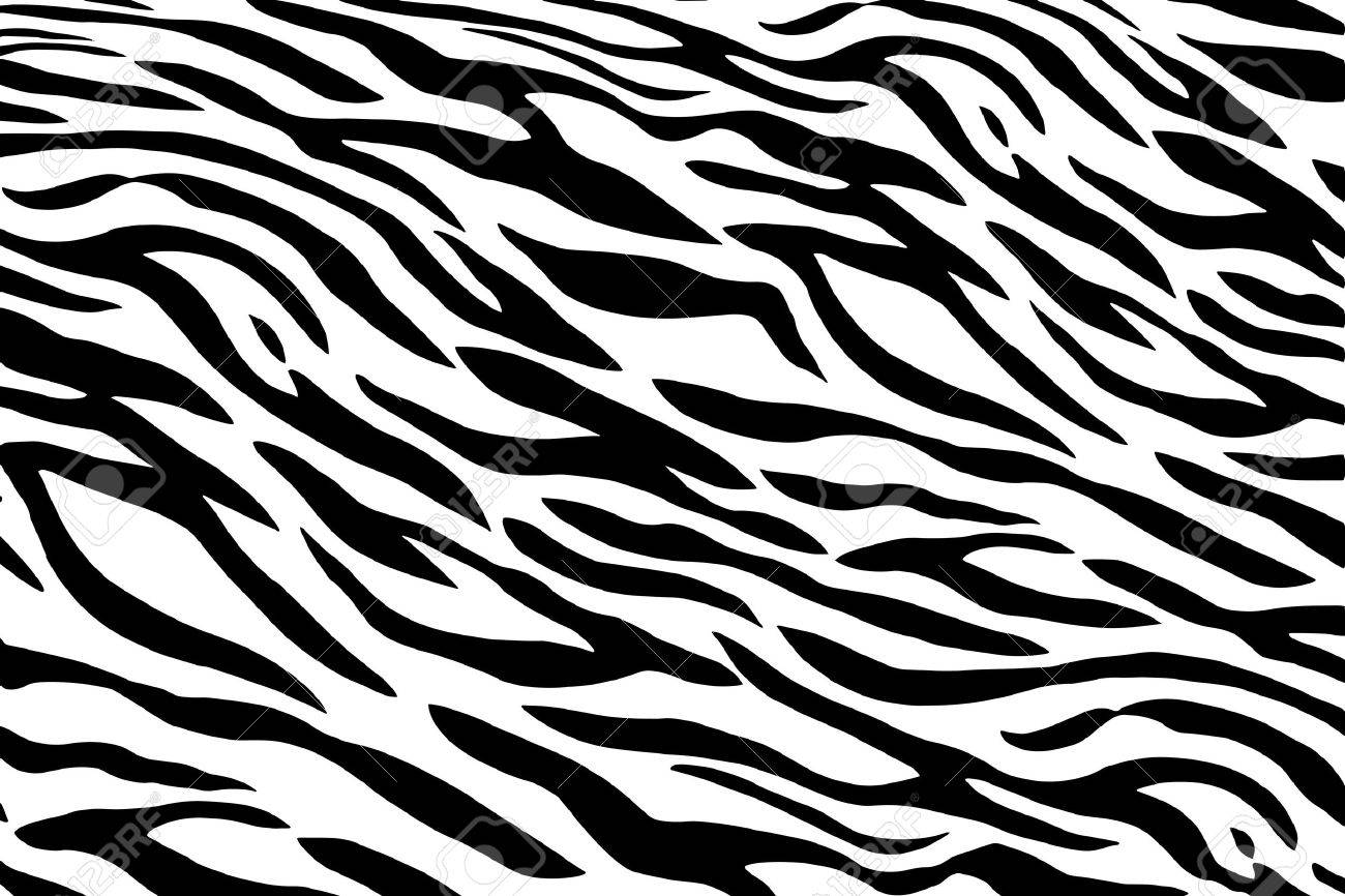 Zebra Pattern Custom Design Zebra Pattern Custom Design