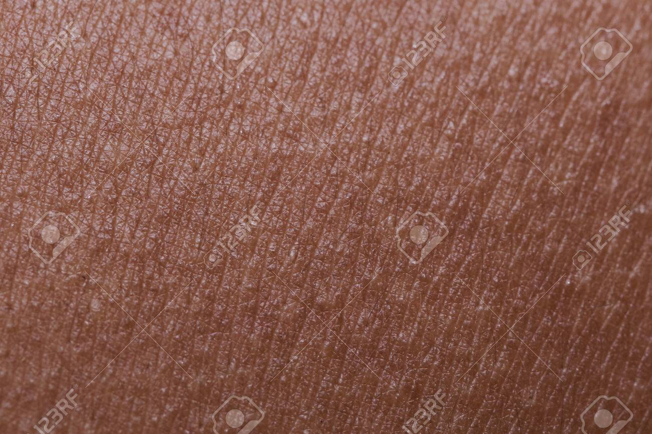 Background Of Dark Human Skin Texture Stock Photo, Picture and Royalty Free  Image. Image 56026723.
