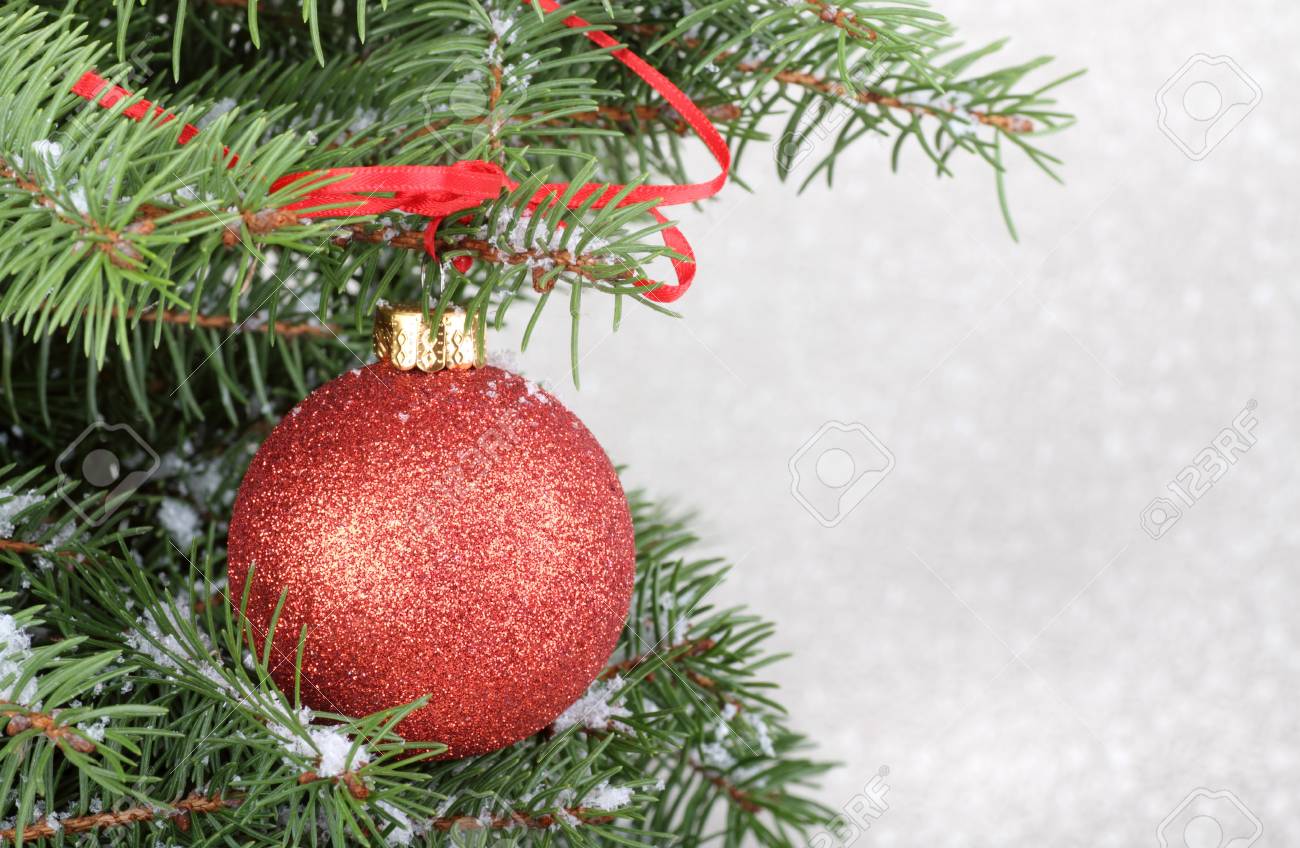 christmas ornament on a tree with a frosted white background stock frosted christmas ornaments