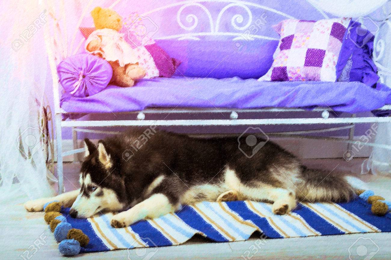 Chien Chiot De Race Husky Sibérien Jogging Illustration De Chien De Berger Le Chien Est Le Symbole De La Nouvelle Année 2018 Selon Lannée Chinoise