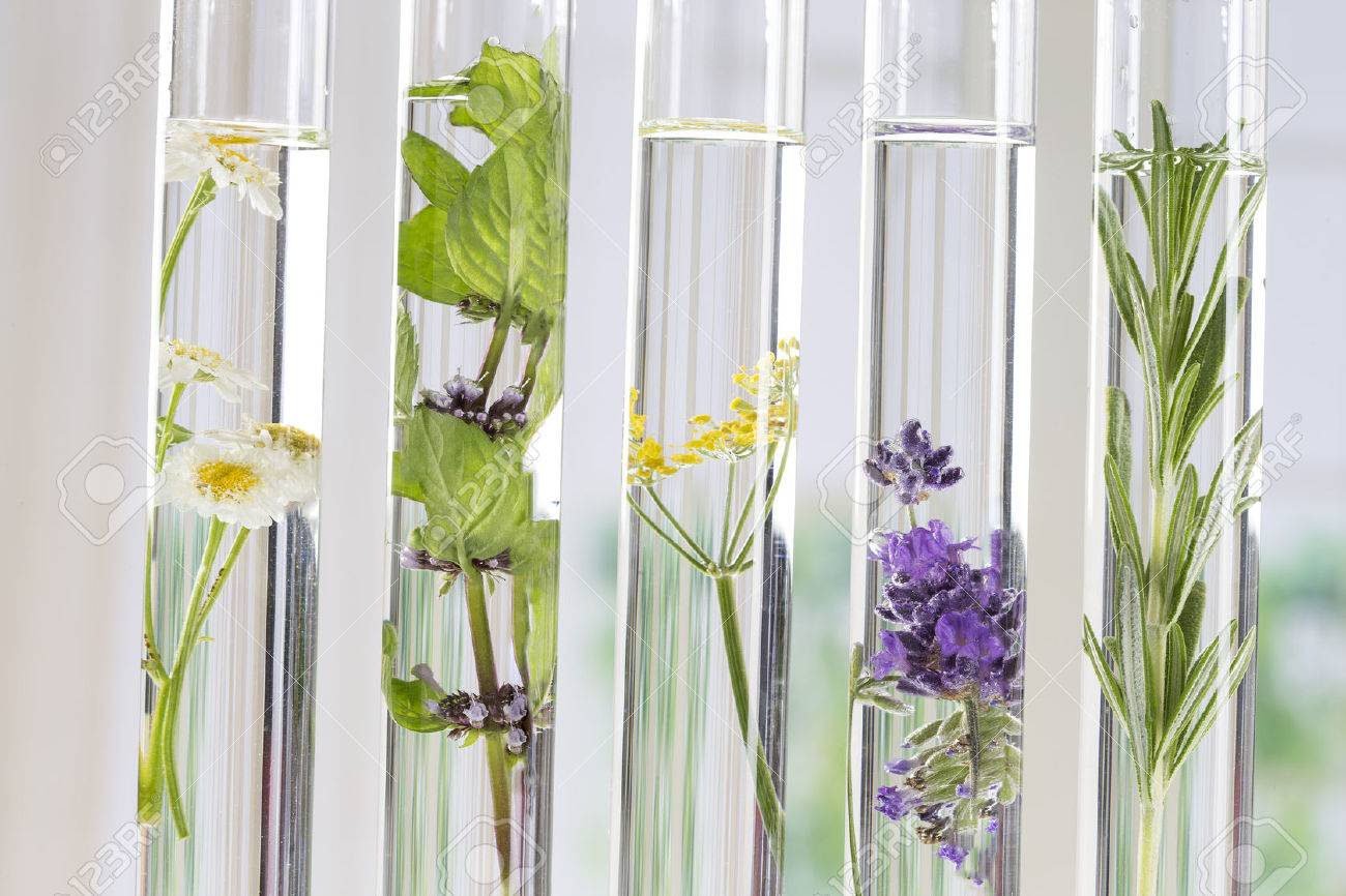 科学実験 試験管の花そして植物 の写真素材 画像素材 Image 科学実験 試験管の花そして植物 の写真素材 画像素材 Image