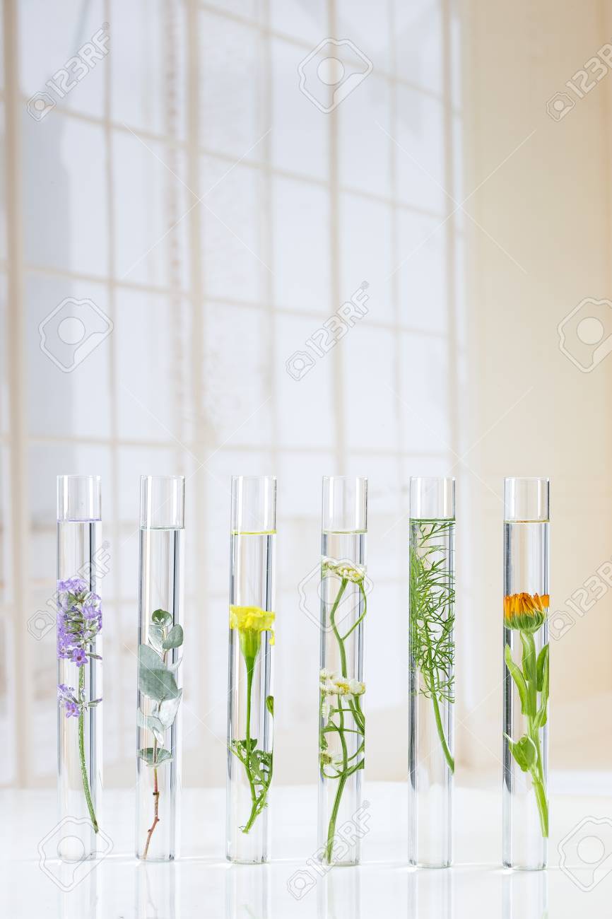 科学実験 試験管の花そして植物 の写真素材 画像素材 Image 科学実験 試験管の花そして植物 の写真素材 画像素材 Image